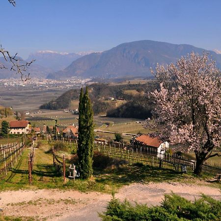 Apartamento Firmelein Appiano Sulla Strada Del Vino Exterior foto
